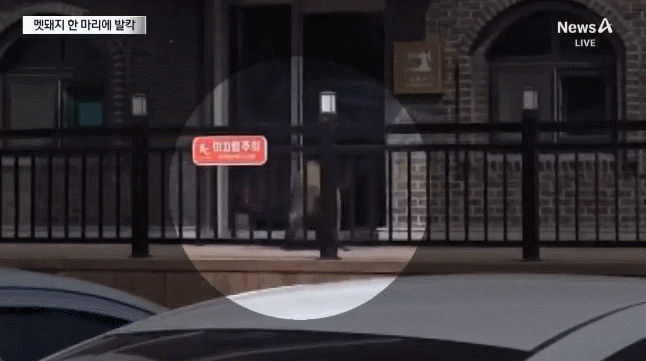 c78b4c0b1e3d8608632aaf413079ca82.gif