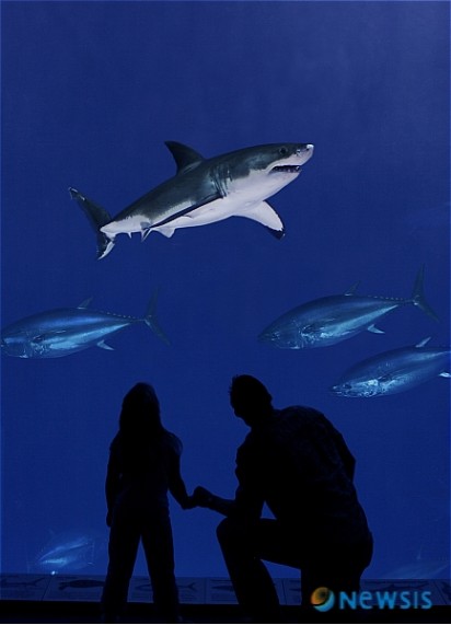 ab162ec29cfd0a322f95a0378ee77948.JPG